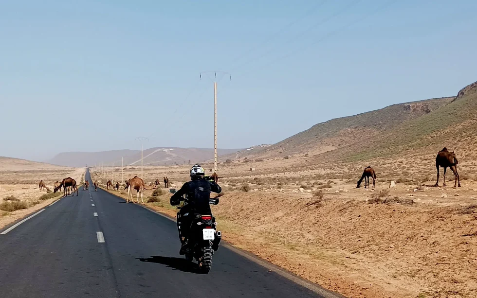 Fin de semana en moto de alquiler en Essaouira, Marruecos.